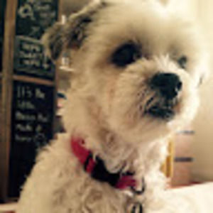 Meet your Posher, Waty